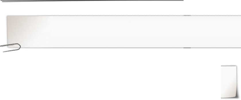 Primary Raster logo